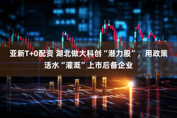 亚新T+0配资 湖北做大科创“潜力股”，用政策活水“灌溉”上市后备企业