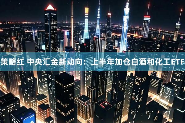 策略红 中央汇金新动向：上半年加仓白酒和化工ETF