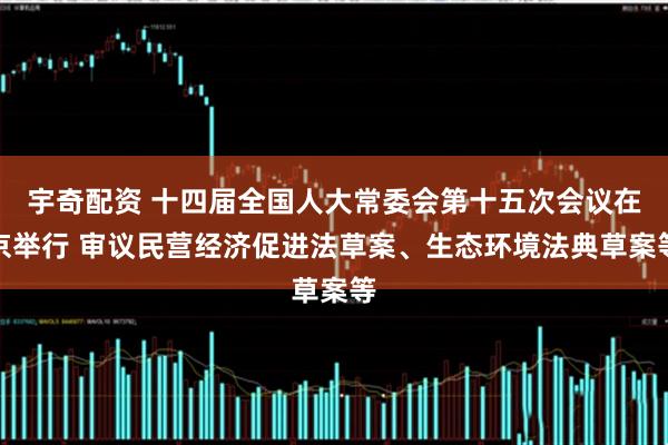 宇奇配资 十四届全国人大常委会第十五次会议在京举行 审议民营经济促进法草案、生态环境法典草案等